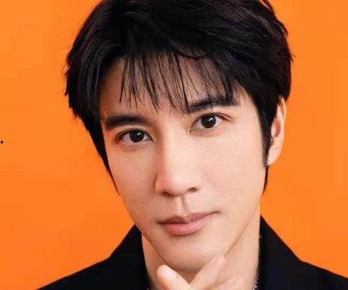 娱乐圈吃瓜王力宏是谁啊,力宏的娱乐八卦影响力