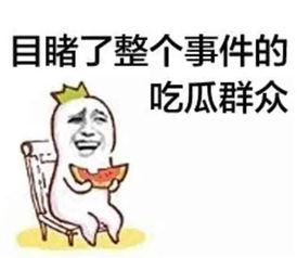 娱乐唠嗑开心吃瓜的小说,吃瓜群众逆袭记