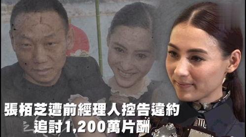 吃瓜娱乐团,揭秘娱乐圈幕后故事，带你领略明星真实生活