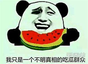 吃瓜群众一定要看的娱乐,吃瓜群众必看的娱乐大事件盘点
