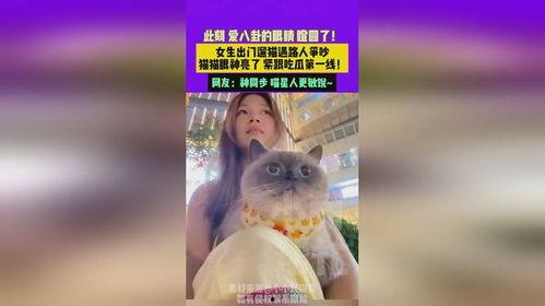 吃瓜少女猫娱乐