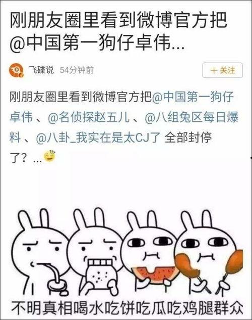 吃瓜娱乐百科大全,揭秘娱乐圈背后的秘密与趣闻