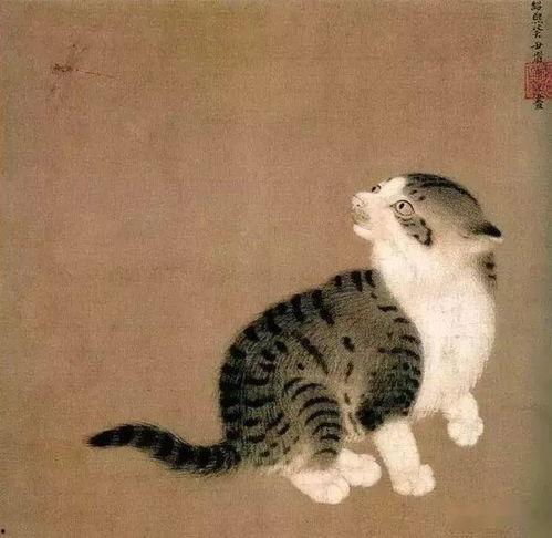 娱乐吃瓜猫捉鸟,一场趣味横生的捉鸟大戏