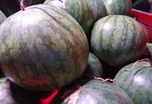 娱乐随拍吃瓜,随拍吃瓜，揭秘明星生活点滴