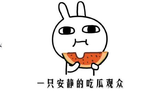 娱乐吃瓜君恶意造谣别人,真相揭秘！