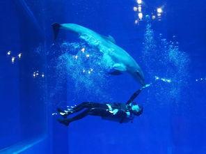 一线吃瓜娱乐圈海底见月,一线“吃瓜”达人海底探月，揭秘娱乐圈幕后真相