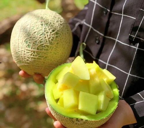 娱乐吃瓜料,明星们的幕后故事与八卦风云