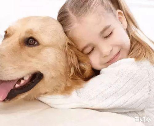 娱乐吃瓜酱养宠物