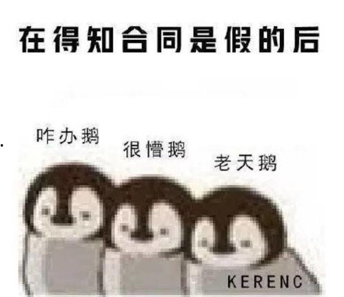 娱乐吃瓜酱情感文案图片,揭秘情感文案背后的故事