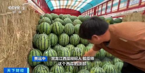 娱乐718吃瓜入口,揭秘明星幕后吃瓜入口，带你领略娱乐圈真实一面